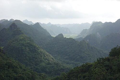 Cát Bà National Park